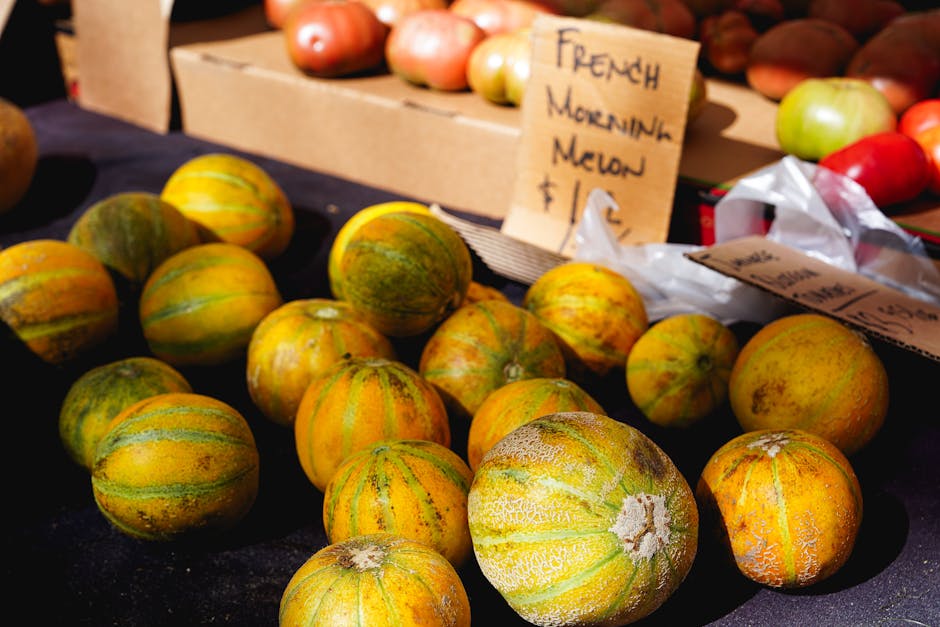 Vue extérieure du marché Gare Strasbourg avec ses étals colorés